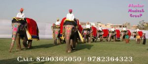 A-Long-Trail-of-Elephant-Sawari-For-Lawazma-Wedding