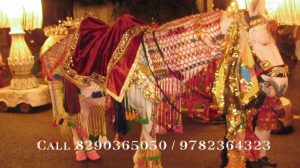 Ghodi Wala in Jaipur, Lavazma & Groom Baggi Services In Jaipur