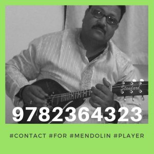 Top Mendolin Players in Jaipur, Rajasthan, Mandolin Player For Wedding Event Delhi,India