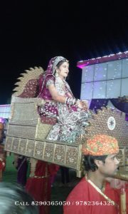 Wedding Palki in Jaipur, Dulhan Palki On Hire, Bridal Doli In Jaipur (2)